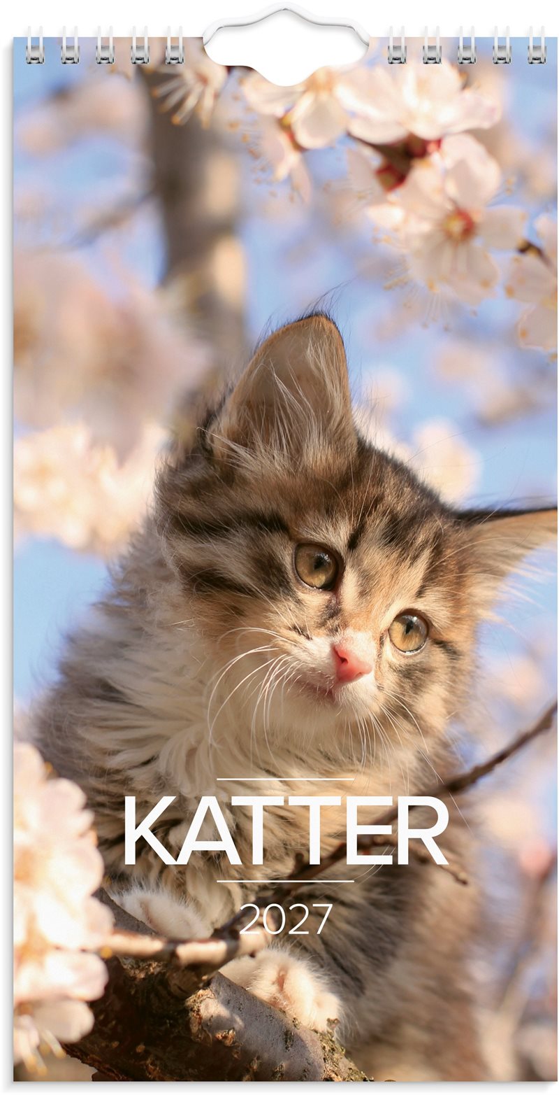 Väggkalender 2027 Liten Kattkalender