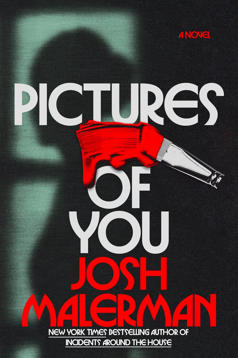 Pictures of You: A Novel