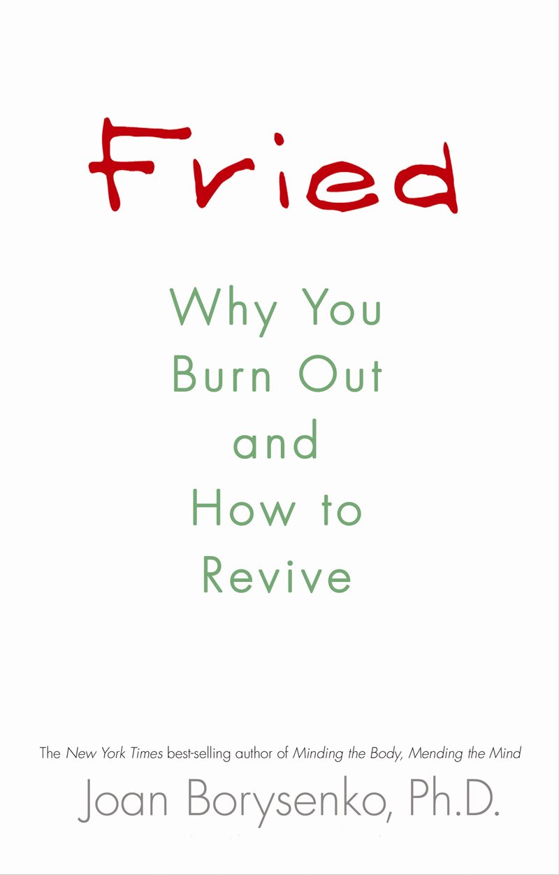 Fried - why you burn out and how to revive