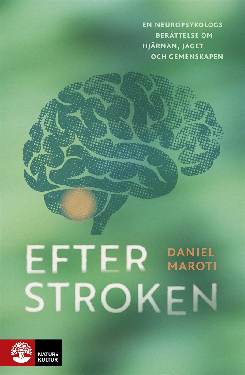 Efter stroken : En neuropsykologs berättelse om hjärnan, jaget och gemenskap