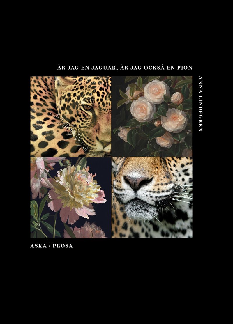 Är jag en jaguar, är jag också en pion