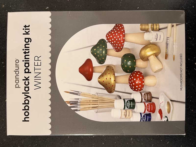 Hobbylack Painting Kit 