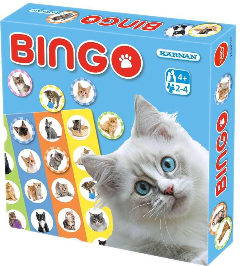 Bingo - Katter 