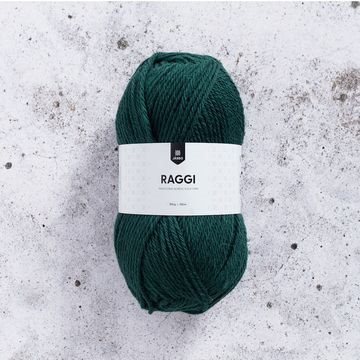 Raggi 100g