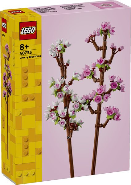 Körsbärsblommor