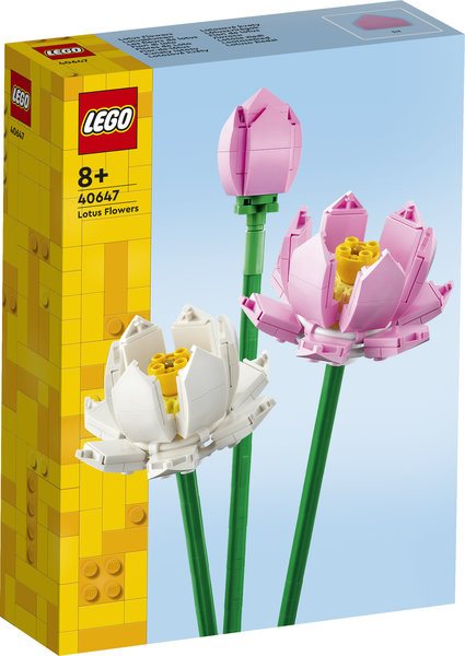 Lotusblommor