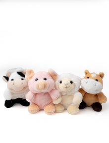 Teddy Farm