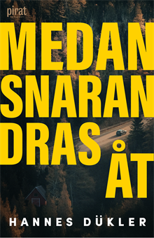 Medan snaran dras år