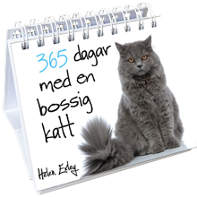 365 dagar med en bossig katt