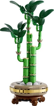 Bambudracena 