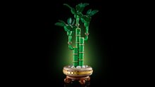 Bambudracena 