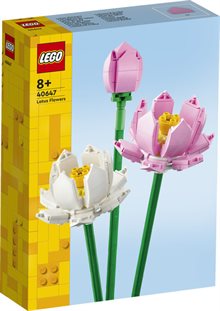 Lotusblommor